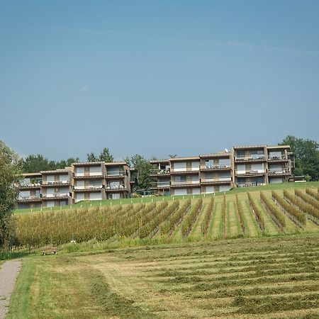 Appartement Wohnen Im Wein à Ehrenhausen Extérieur photo
