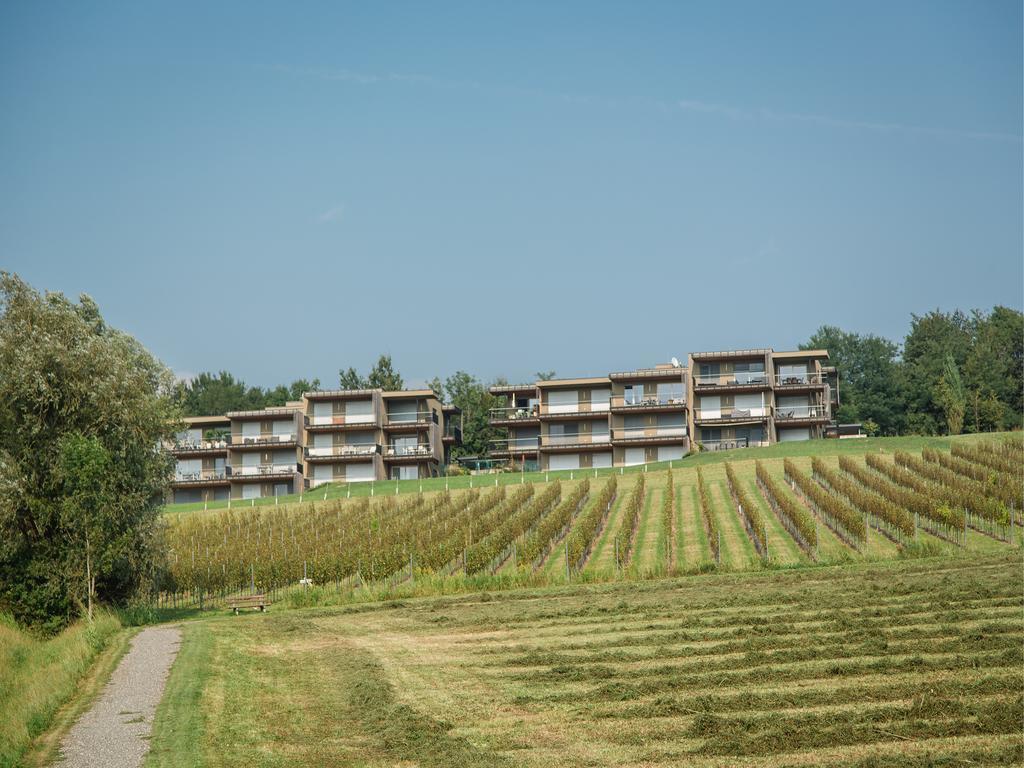 Appartement Wohnen Im Wein à Ehrenhausen Extérieur photo